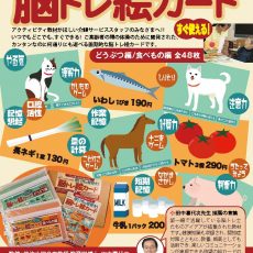 脳トレ絵カード